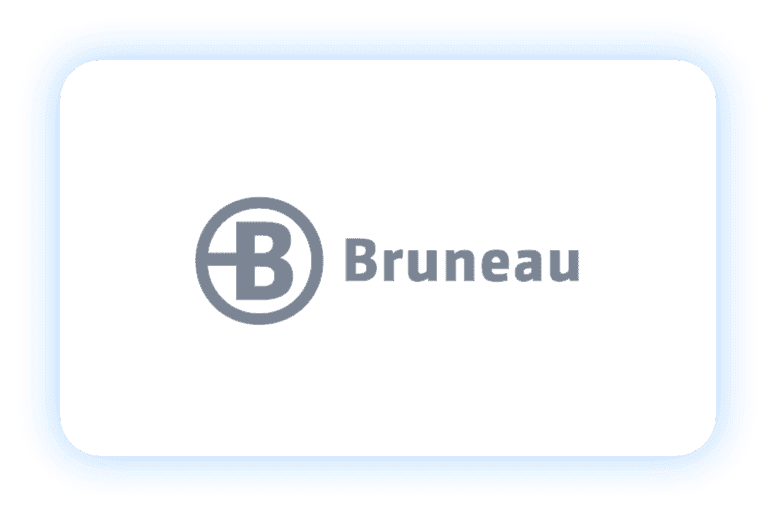 Bruneau